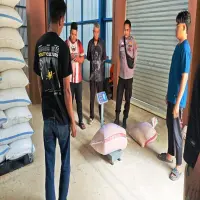 Hasil Panen Jagung Polsek Plered di Purwakarta Lolos Standar Mutu Bulog