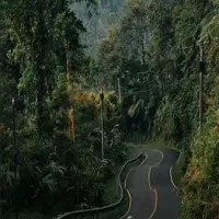 Program Jalan Leucir 2025: Ratusan Kilometer Jalan Jabar Ditangani