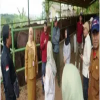 Produksi Susu di Bandung Barat Capai 61.165 Ton