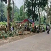 Jelang Lebaran, Pedagang Nanas Kembali Berjualan di Bahu Jalan Jalancagak- Kasomalang