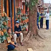Pedagang Nanas di Subang Tempati Kios Baru