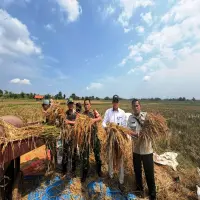 BULOG Subang Pastikan Stok Pangan Aman Hingga Akhir Tahun 2026