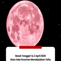 Fenomena Pink Moon Hiasi Langit Awal April 2026, Bisa Disaksikan di Indonesia