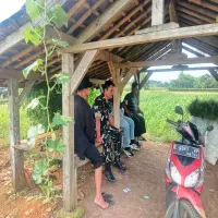 Serap Aspirasi dan Keluhan Petani di Subang, Babinsa Turun ke Sawah