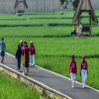 Pesona Keindahan Sawah di Lembur Pakuan Subang