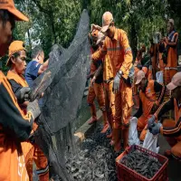 MUI Soroti Pembasmian Ikan Sapu-Sapu Dikubur Hidup di Jakarta