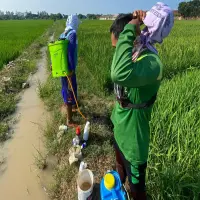 Pupuk Subsidi Mudah, Petani di Subang Minta Tambahan Stok