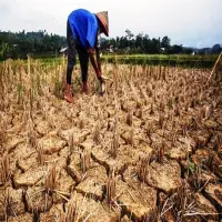 BPDB Bandung Barat Mulai Antisipasi Dampak El Nino