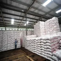 Jelang Musim Kemarau, Stok Pupuk di Subang Melimpah