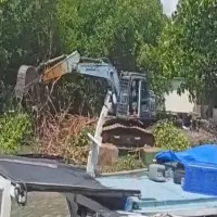 Viral Dugaan Pengrusakan Mangrove di Pondok Bali Subang, Polisi: Lahan Milik Pribadi Bersertifikat
