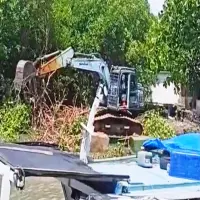 Kontroversi Mangrove di Kawasan Pondok Bali, Pemilik: Akan jadi Kolam Pancing