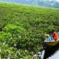 Warga Keluhkan Waduk Saguling Banyak Nyamuk