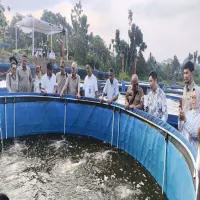 Panen Perdana Ikan Nila Bioflok di Subang, Kampung Ikan Damandiri Siap Jadi Sentra Perikanan Modern