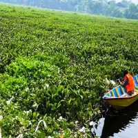 Warga Rancapanggung Resah Diserang Nyamuk, Waduk Saguling Diduga jadi Penyebab