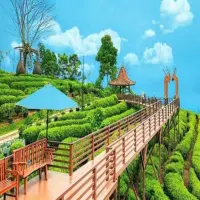 Pesona 7 Wisata Subang dengan Panorama Alam yang Memukau