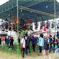 Kicau Mania Nusantara Sah Jadi Event Skala Nasional