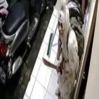 Pilih Batasi Aktivitas Malam: Warga Resah Teror Rampok Berkedok Pocong
