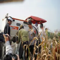 Teknologi Pertanian Modern Dorong Swasembada Pangan di Purwakarta