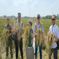 Bulog Cabang Subang-Purwakarta Pastikan Stok Pangan Aman
