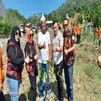 Aksi Nyata, Pemuda Pancasila Tanam 1000 Bibit Pohon