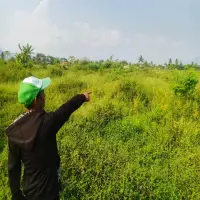 Krisis Air, Puluhan Hektare Sawah di Kecamatan Cipatat Bandung Barat Jadi Semak Belukar