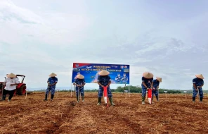 Pangkoopsudnas Dorong Ketahanan Pangan, Taman Jagung Hibrida di Lanud Suryadarma Subang