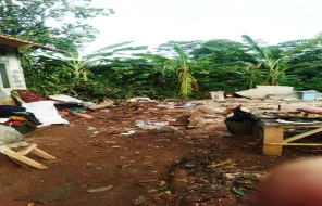 Rumah Siswa Hancur Tertimpa Pohon di Subang, SDN Gunung Sembung Buka Donasi