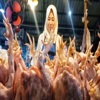 Jelang Ramadan, Harga Ayam Potong dan Kelapa Naik di Purwakarta
