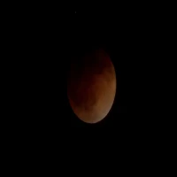 Fenomena Gerhana Bulan Total Maret 2025: Ini Jadwal dan Wilayah yang Bisa Menyaksikannya
