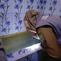 Dinkes Subang Gerak Cepat Tangani Kasus Chikungunya di Kasomalang Kulon