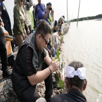 Pemkab Subang Tanam 24.000 Bibit Mangrove di Legonkulon untuk Tangkal Banjir Rob dan Perubahan Iklim