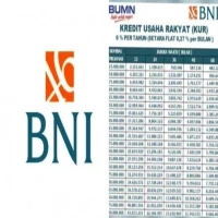 Update Terbaru Tabel KUR BNI 2025: Cocok Bagi Pelaku Usaha Mikro, Kecil, dan Menengah (UMKM)