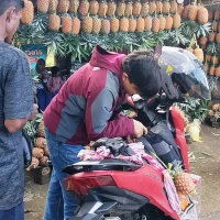 Nanas Subang jadi Oleh-Oleh Favorit Wisatawan