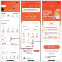 Apa Itu Paylater? Ini Pengertian dan Daftar Aplikasi Resmi Penyedia Paylater di Indonesia