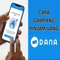 Cara Ajukan Pinjaman Saldo Dana Paylater Mudah dan Cepat!