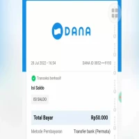 Cara Mudah Pinjam Uang 50 Ribu di Aplikasi DANA Tanpa KTP, Cek Caranya Disini!