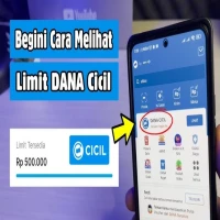 Cara Pinjam Saldo DANA di Aplikasi DANA dan Berapa Limit Dana Cicil di Aplikasi DANA