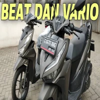 Vario VS Beat Irit Mana? Simak Ini Perbandingan Lengkapnya!