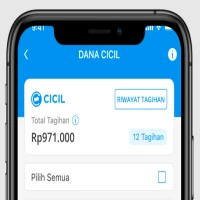 Cara Aktifkan DANA Cicil Lewat Aplikasi DANA dengan Mudah, Simak Panduan Lesngkapnya