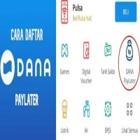 Cara Aktifkan DANA Paylater di Android Tanpa Verifikasi KTP dan Scan Wajah