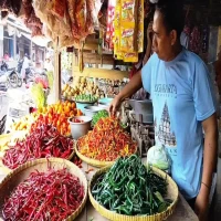 Jelang Idul Adha, Harga Cabai dan Bawang di Subang Mulai Melonjak, Disebabkan Permintaan Tinggi