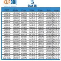 Dijamin Aman! Ini Cara Pinjam KUR BRI Online Tanpa Jaminan Terbaru di 2025