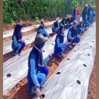 Bentuk Karakter Lewat TdBA, Yasri Ajak Siswa Tanami Kebon Sakola Cendekia di Purwakarta