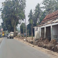 Lahan Bekas Bangunan Liar di Subang Ditanami Pohon, Terlihat Bersih dan Estetik
