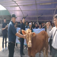 Rutin Tiap Tahun, PT. TKG Taekwang Indonesia Kembali Salurkan 17 Hewan Kurban untuk Masyarakat