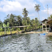 Wisata Air Cimincul Subang Rekomendasi Wisata Liburan Selama Cuti Bersama Idul Adha