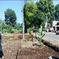 Ribuan Bibit Pohon Kelapa Ditanam di Jalur Provinsi Jalancagak, Percantik dan Amankan Kawasan Eks Kios