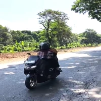 Jalan Ciater Ditanami Ribuan Pohon Kelapa, Warga Apresiasi Penghijauan di Lahan Eks Pedagang