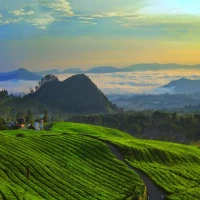 10 Tempat Wisata di Subang Paling Favorit untuk Healing