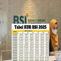 Biar Nggak Salah Langkah, Begini Cara Mengajukan Pinjaman Bank BSI Jaminan Sertifikat Rumah di Tahun 2025